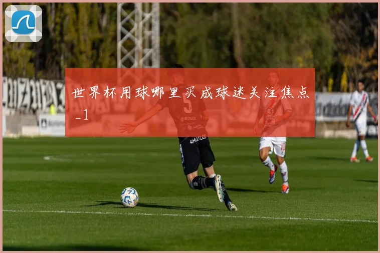 世界杯用球哪里买成球迷关注焦点 _1