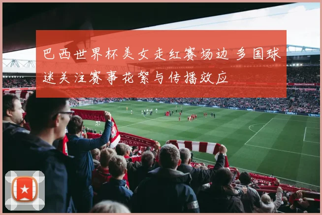 巴西世界杯美女走红赛场边 多国球迷关注赛事花絮与传播效应